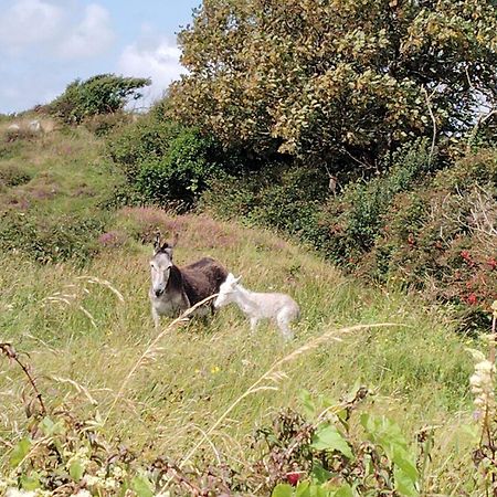 Ballyconneely House Galway Eksteriør bilde