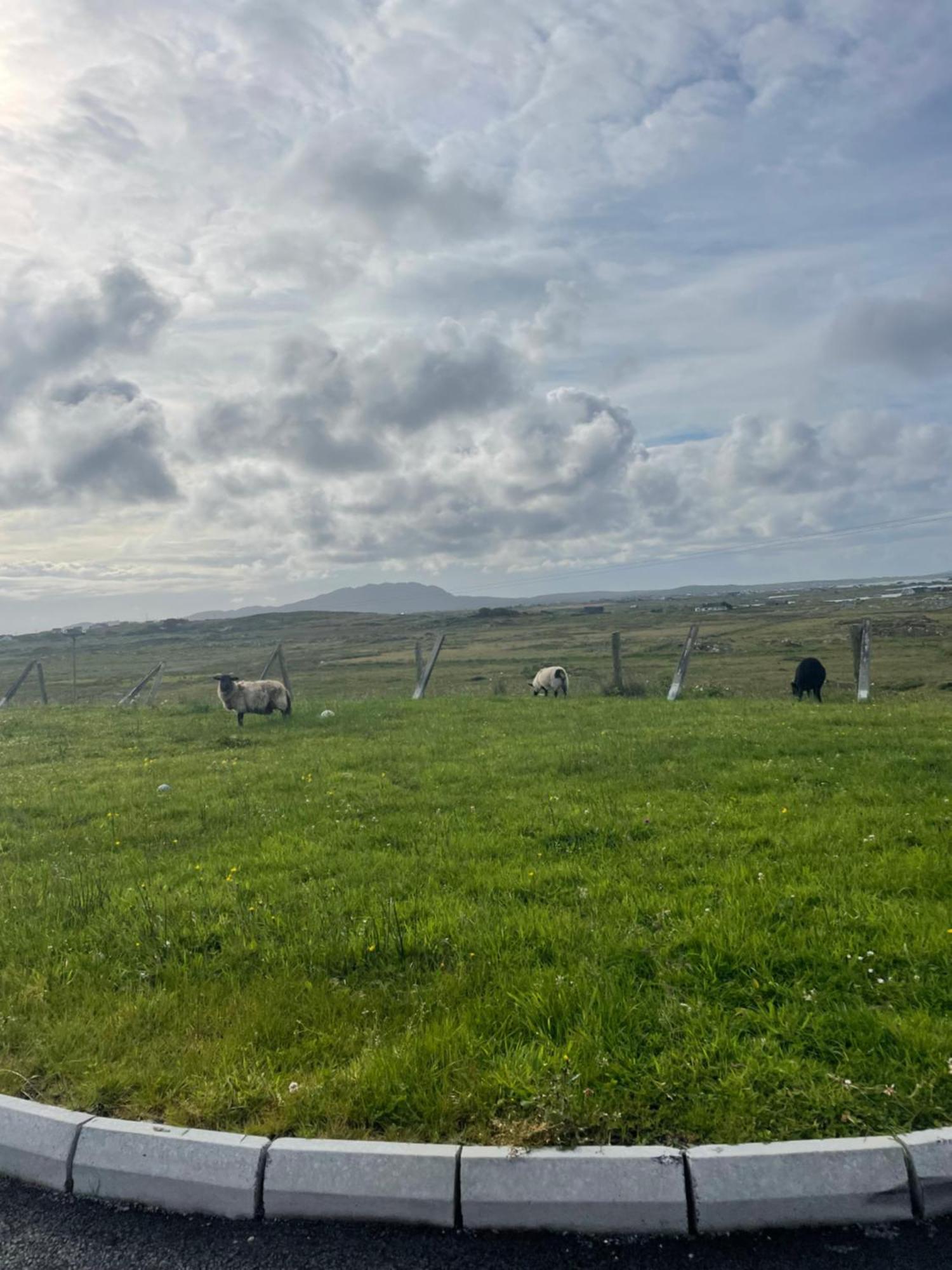 Ballyconneely House Galway Eksteriør bilde